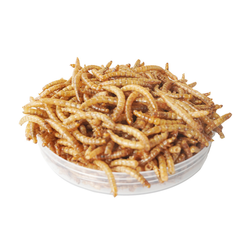 High-Protein Snacks Hamster Fo - Food Snacks High In Protein 评论和价格