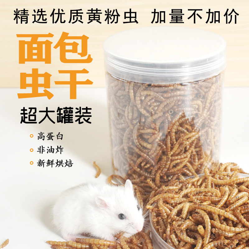 High-Protein Snacks Hamster Fo - Food Snacks High In Protein 评论和价格